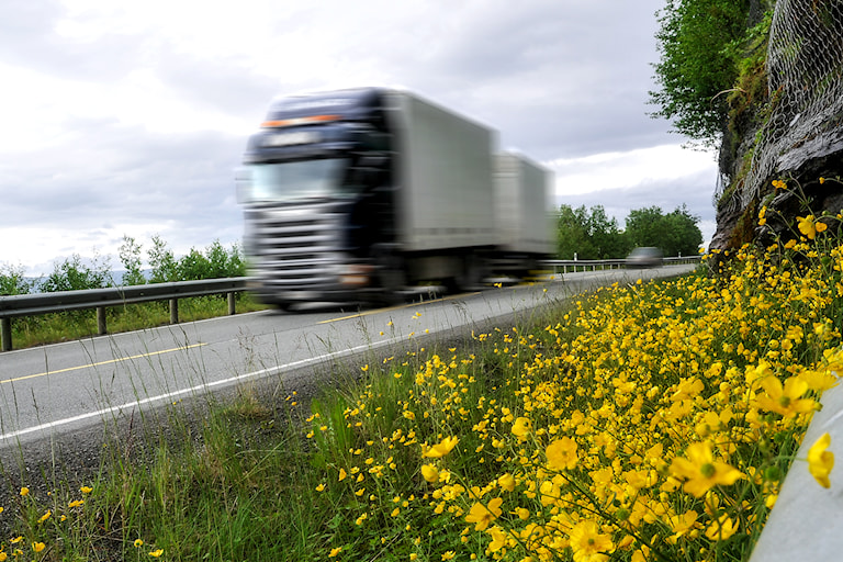 Ein vegkant med blomstrar.
